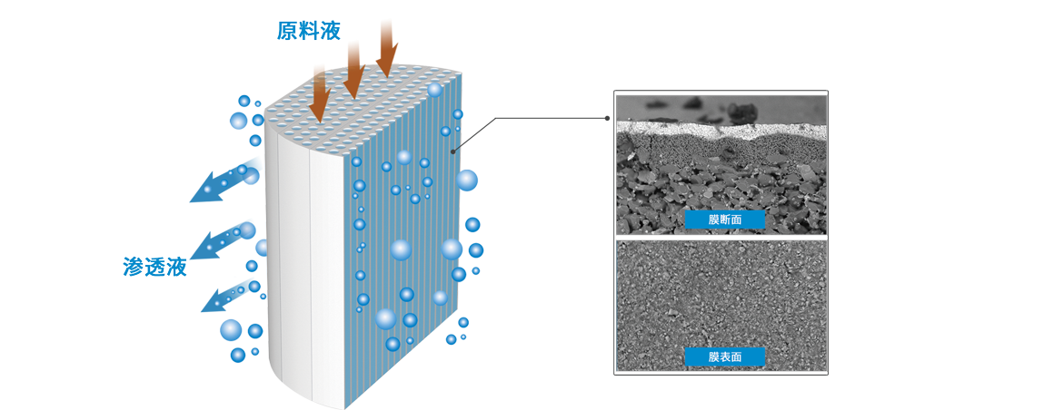 suncitygroup̫������(�й�)-�ٷ���վ