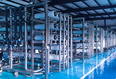 suncitygroup̫������(�й�)-�ٷ���վ