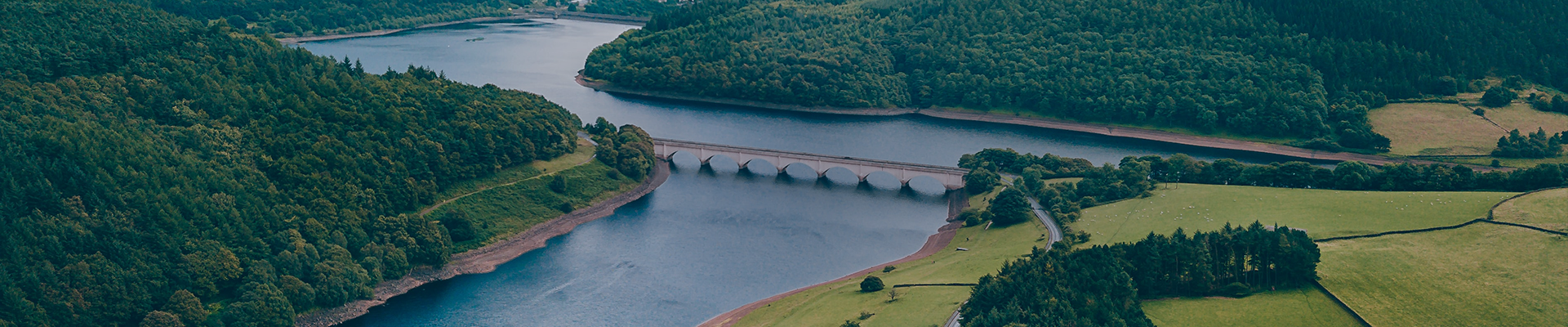 suncitygroup̫������(�й�)-�ٷ���վ