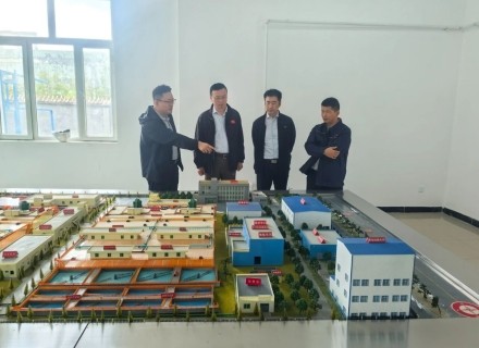 suncitygroup̫������(�й�)-�ٷ���վ