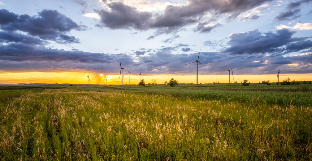 suncitygroup̫������(�й�)-�ٷ���վ