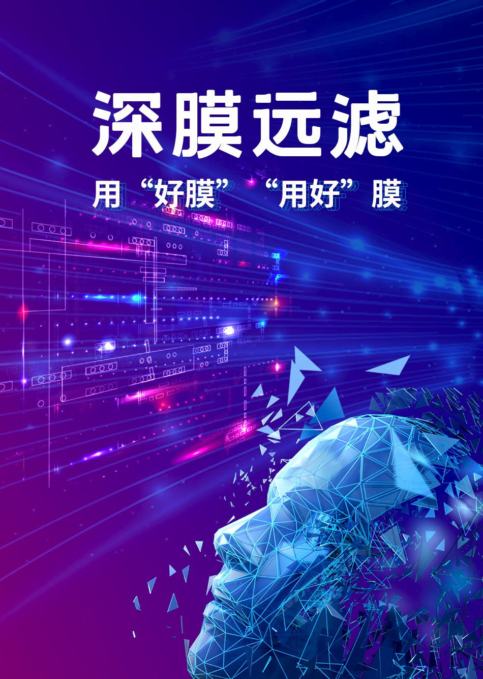 suncitygroup̫������(�й�)-�ٷ���վ