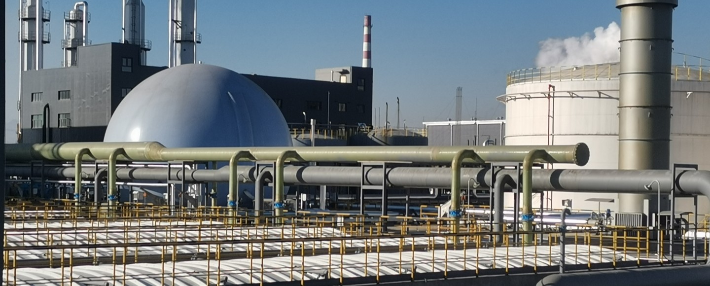 suncitygroup̫������(�й�)-�ٷ���վ