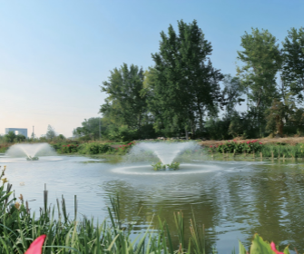 suncitygroup̫������(�й�)-�ٷ���վ